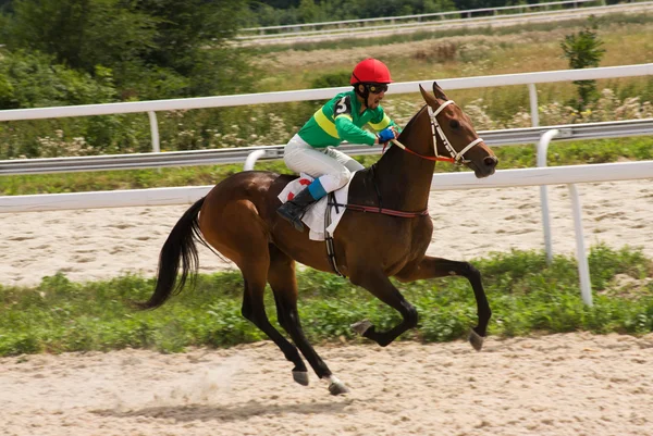 El ganador . — Foto de Stock