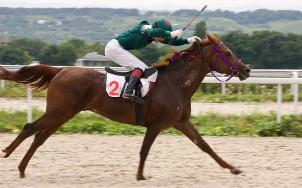 El ganador . —  Fotos de Stock