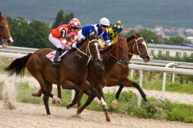 at yarışı