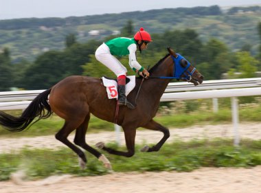 at yarışı