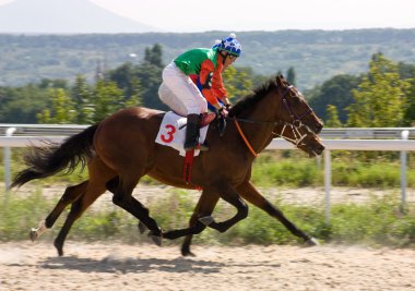 at yarışı