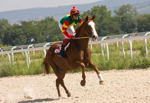 Corrida de cavalos — Fotografia de Stock