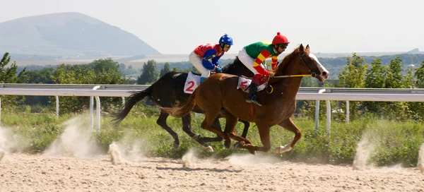 Hästkapplöpning — Stockfoto