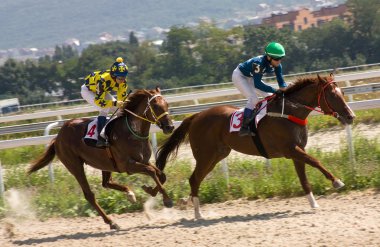 at yarışı