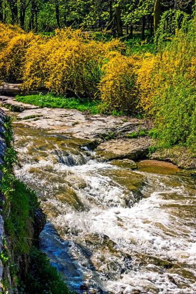 Rivière Montagne Dans Parc — Photo