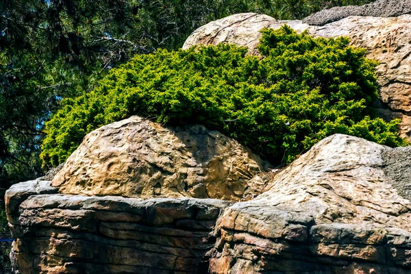Moss Pokrył Skały Formacjami Skalnymi Północnym Kaukazie — Zdjęcie stockowe