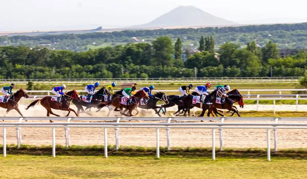 Pyatigorsk Rússia Julho 2020 Iniciar Corrida Cavalos Para Prêmio Julgamento — Fotografia de Stock