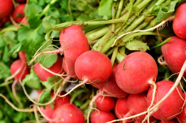 Close up of radish on market stand — Stock Photo, Image