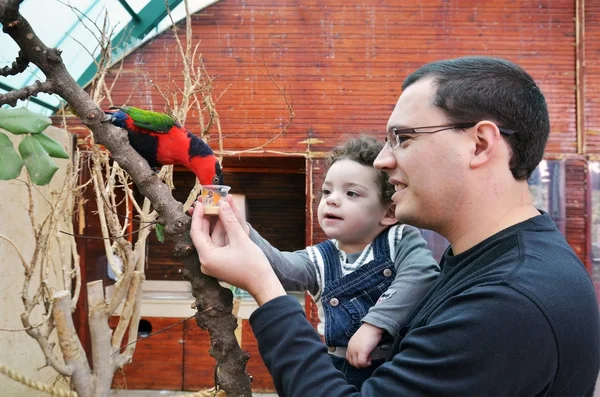 Portrait of happy father and his daughter feeding parrot — Stock Photo, Image