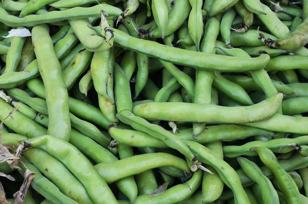 Close up of green beans — Stock Photo, Image