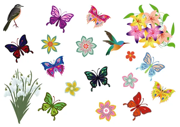 Kuşlar, kelebekler ve çiçekler — Stok Vektör