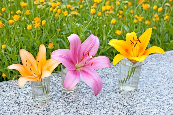 Lilies in a glass beaker on a background blossoming flowerbeds. — Stock Photo, Image