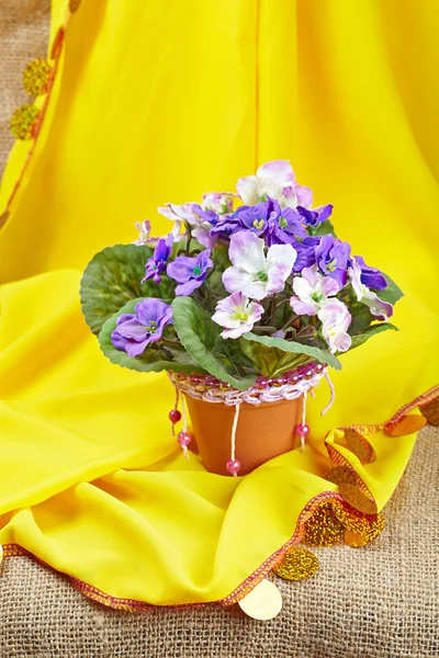 Violeta artificial en macetas de cerámica, decorado con perlas, handmad —  Fotos de Stock