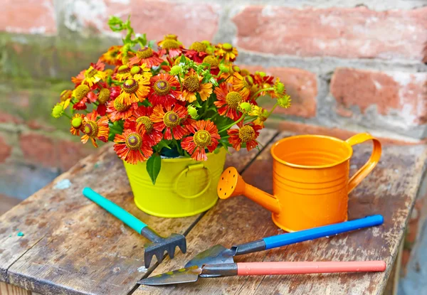 Bouquet of red flowers (Helenium), garden tools and watering can — Stock Photo, Image