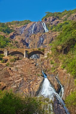 dudhsagar düşüyor. Bhagwan mahavir wildlife sanctuary, goa, Hindistan