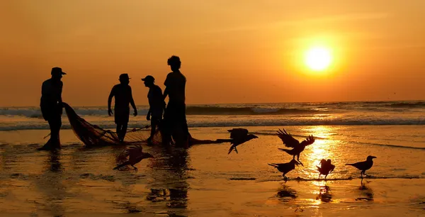 Balıkçıların kıyıya ağ sürükledi. Sunset, Umman Denizi. — Stok fotoğraf