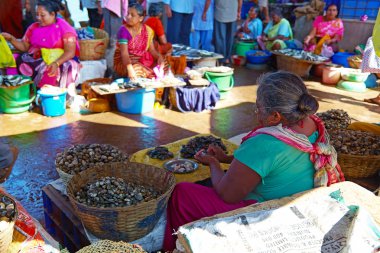 siolim, goa, Hindistan - yaklaşık Aralık 2013: yaşlı bir kadın satıyor