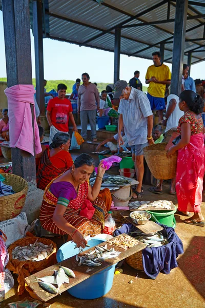 SIOLIM, GOA, INDE - CIRCA DÉCEMBRE 2013 : Vente de poisson et de fruits de mer — Photo