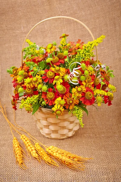 Bouquet of red flowers (Helenium) on the old canvas background — Stock Photo, Image