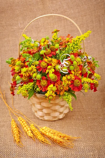 Boeket van rode bloemen (Alant) op de oude doek achtergrond — Stockfoto