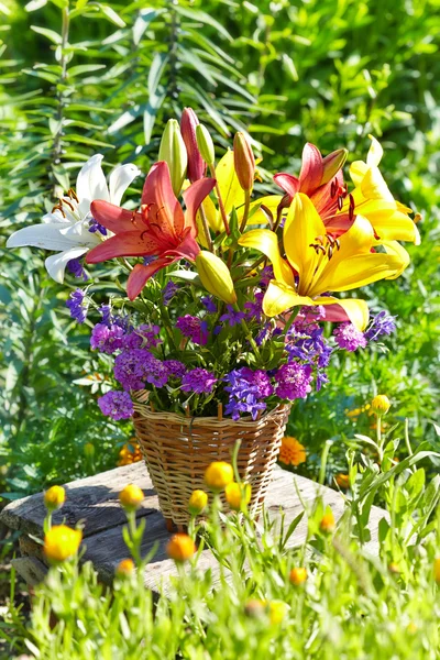 Bouquet of multicolored lily on green background garden — Stock Photo, Image