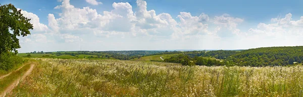 Pagórkowaty pejzaż panoramiczny obszarów wiejskich. lato, Ukraina. — Zdjęcie stockowe