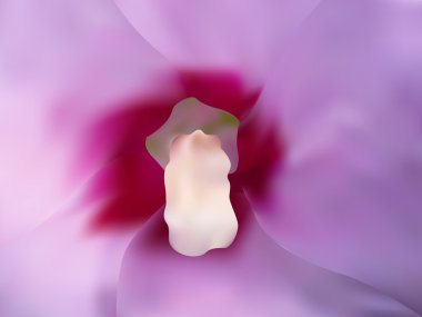 güzel hibiscus yakın çekim