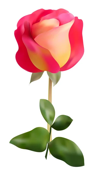 Rosa elegante — Vector de stock