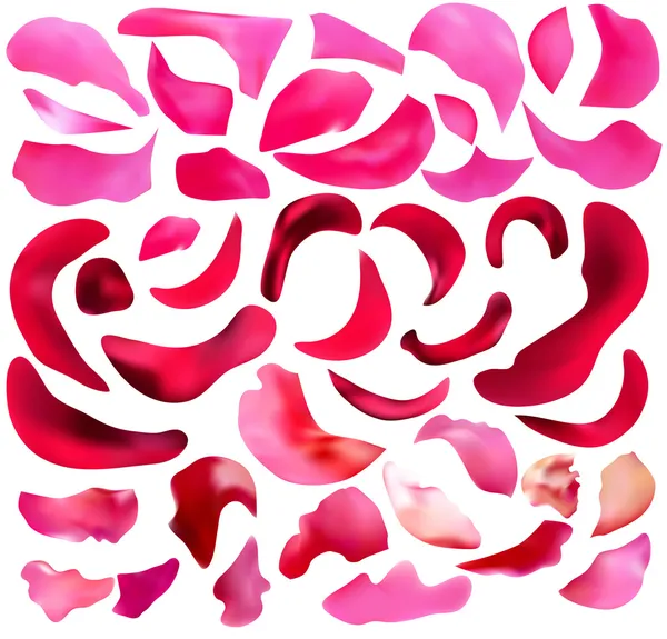 Rose petals background — Stock Vector