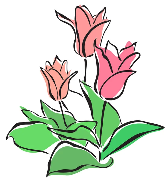 Tulipani rosa — Vettoriale Stock