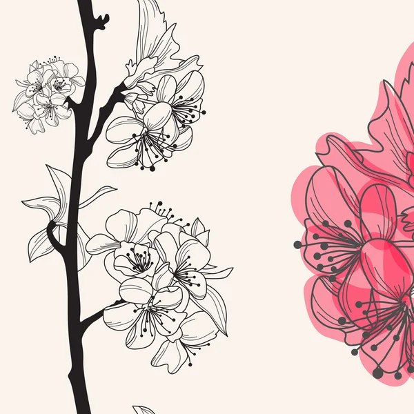 Dekoratif kiraz çiçeği