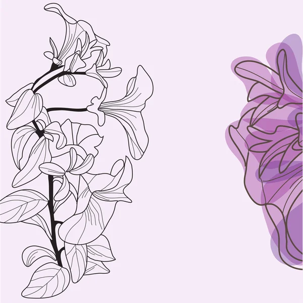 Dekorativa viola blommor — Stock vektor
