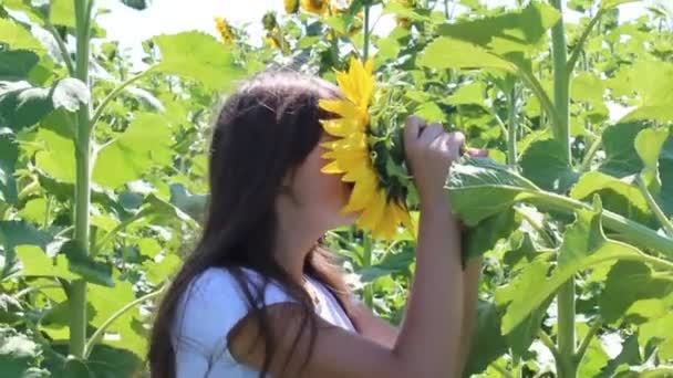 Young girl and sunflower — Stock Video