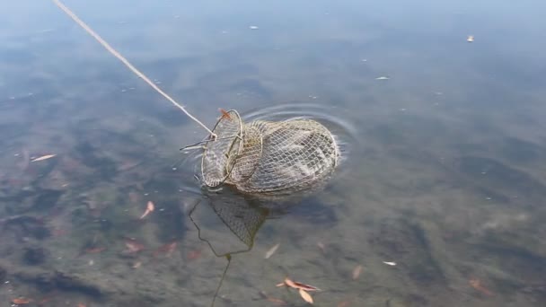 Peces capturados — Vídeo de stock