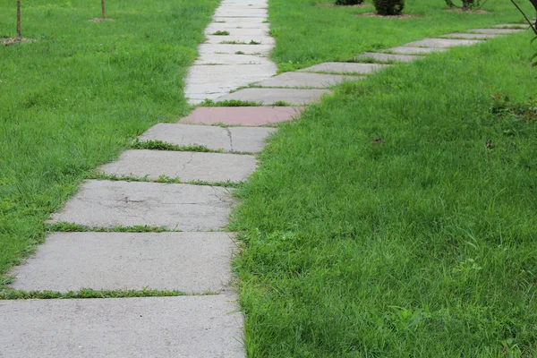 Camino en el parque — Foto de Stock