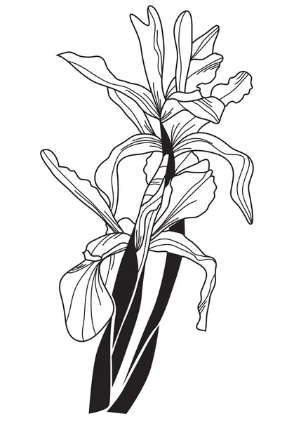 Decoratieve iris bloemen — Stockvector