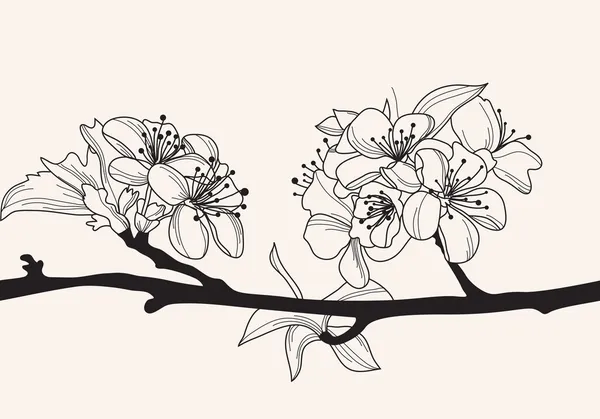 Dekorativní třešňový květ — Stockový vektor