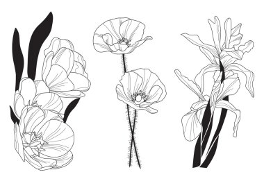 Dekoratif çiçekler.