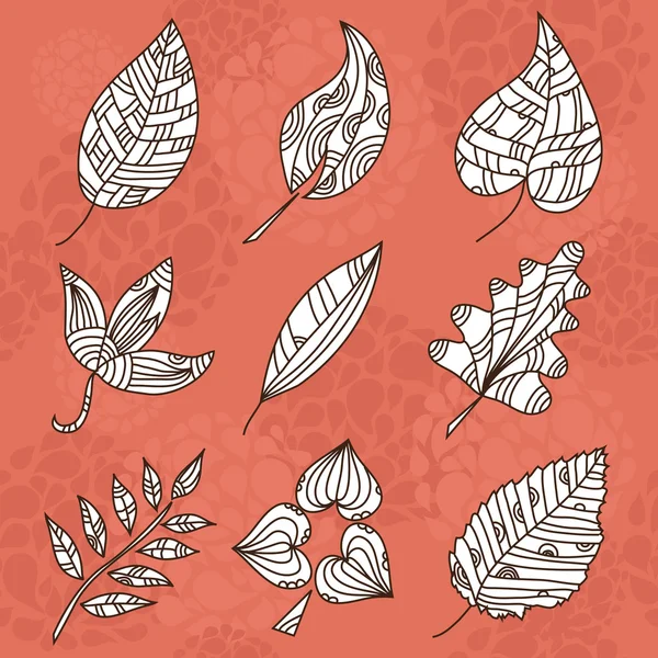Set mit 9 dekorativen Blättern — Stockvektor