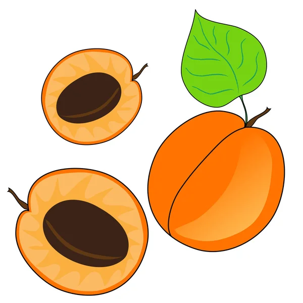 Fruits d'abricot — Image vectorielle