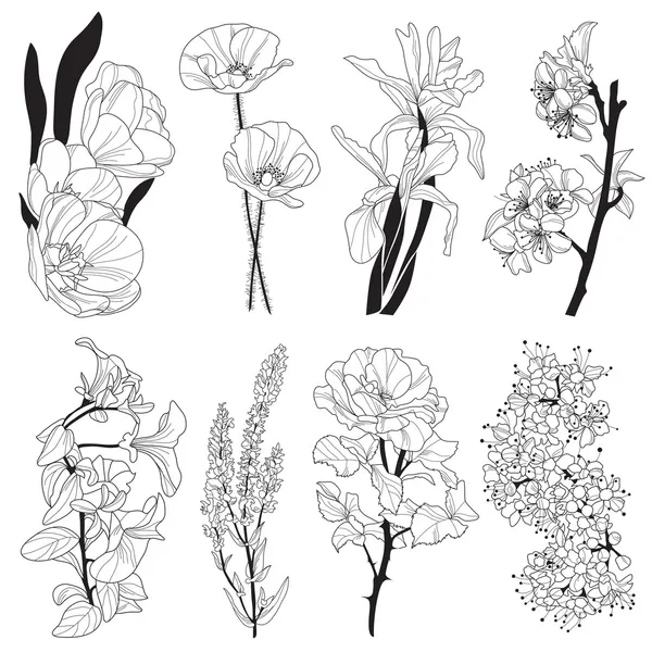 Flores decorativas — Archivo Imágenes Vectoriales