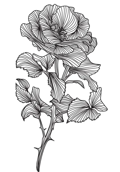 Rosa decorativa — Archivo Imágenes Vectoriales