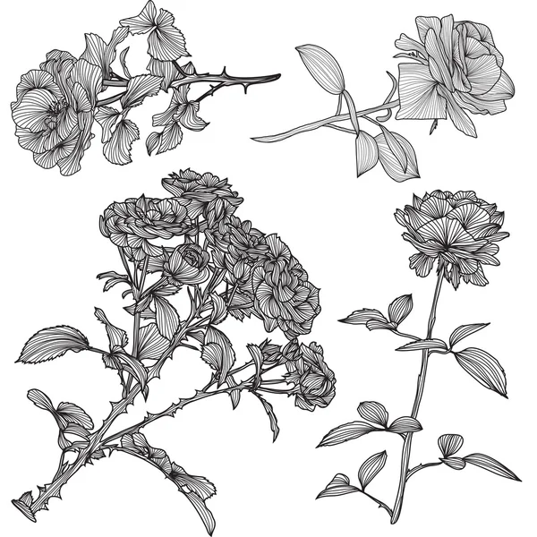 Set rose decorative — Vettoriale Stock