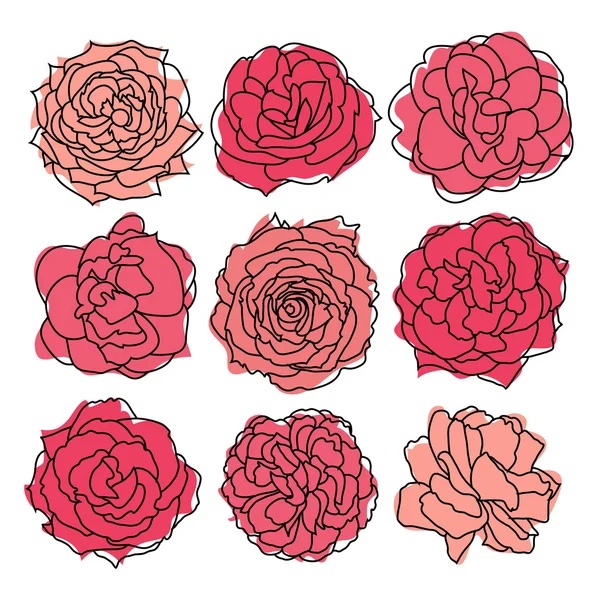 Set van 9 rozen — Stockvector