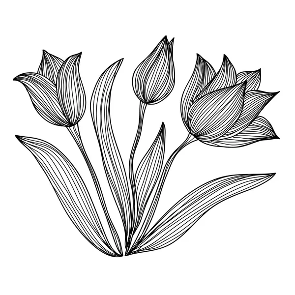 Tulipes décoratives — Image vectorielle