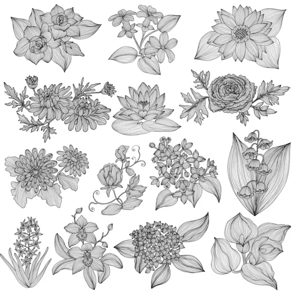 Florale decoraties set — Stockvector