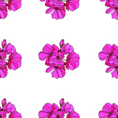 Pembe sardunya çiçekleri ve tasarım elementleriyle zarif, pürüzsüz bir desen. Davetiyeler, kartlar, baskı, hediye paketi, imalat, tekstil, kumaş, duvar kağıtları için çiçek deseni