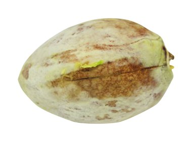 Avokado tohumu beyaz arkaplanda izole edilmiş. Doğal gıda geçmişi. Meyve tasarımı ögesi