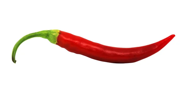 Red Chili Pepper Isolated White Background Natural Food Background Vegetable — 스톡 사진