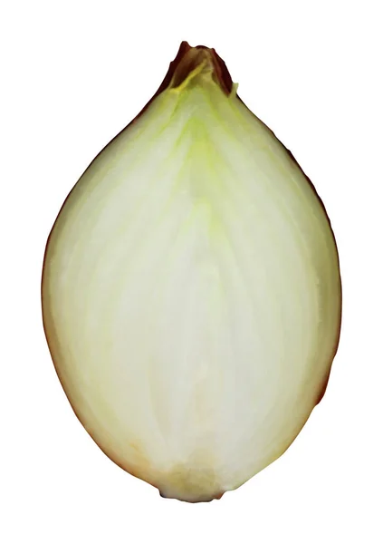 Sliced Onion Isolated White Background Natural Food Background Vegetable Design — Φωτογραφία Αρχείου
